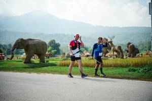 BIB: 
                            <button type="button" onclick="openModal(22436867)" class="btn btn-primary btn-sm float-right btn-popup" data-toggle="modal" data-target=".modal-high-quality">
                        <i class="fas fa-shopping-cart"></i> Add to Cart
                    </button>
                                            <button type="button" onclick="isThisMe(22436867, true)" class="btn btn-success btn-sm float-right btn-popup btn-isme hidden" data-toggle="tooltip" data-placement="bottom" title="นี่คือรูปของคุณใช่ไหม คลิกที่นี่เพื่อเอาเข้าอัลบั้ม">
                        <i class="fas fa-plus"></i> Add to album
                    </button>
                    <button type="button" onclick="isThisMe(22436867, false)" class="btn btn-warning btn-sm float-right btn-popup btn-isnotme hidden">
                        <i class="fas fa-ban"></i> Remove from album
                    </button>